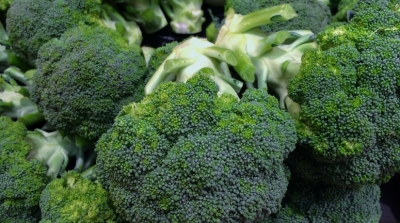 Broccoletti bio