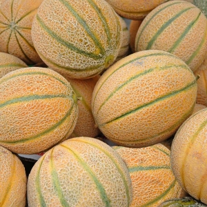 Melone Bio